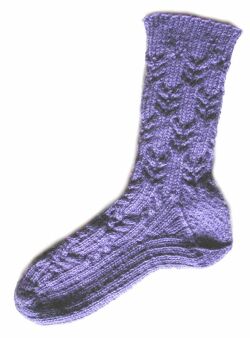Thumbnail view of a Women's medium size sock
