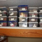 Yarn in shoebox sized storage units